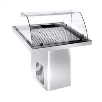 7083.0005 Gekoelde Visvitrine 1.0